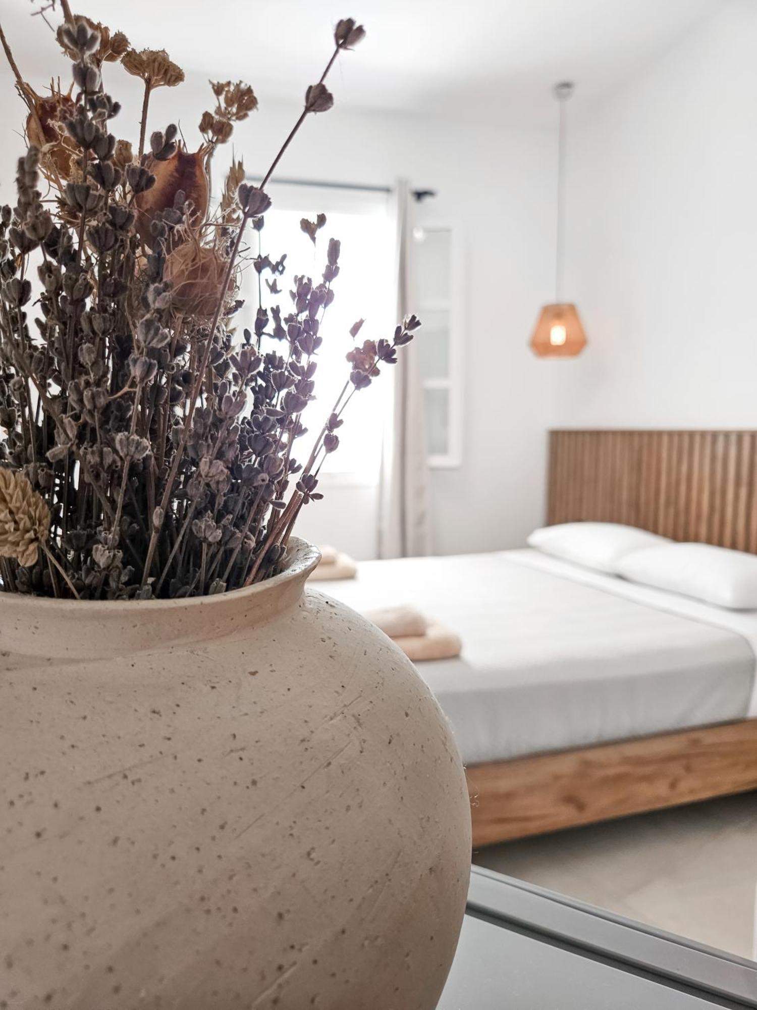 Oikia Suites Mykonos Mykonos Town Extérieur photo